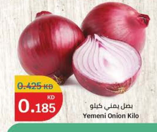 بصل from Yemen available at سيتي هايبرماركت in الكويت - محافظة الأحمدي