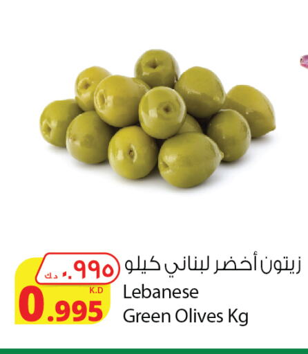 available at شركة المنتجات الزراعية الغذائية in الكويت - مدينة الكويت