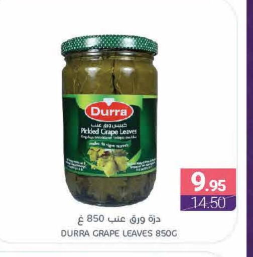 DURRA available at Muntazah Markets in KSA, Saudi Arabia, Saudi - Qatif