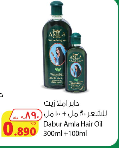 DABUR Hair Oil available at Agricultural Food Products Co. in Kuwait - Jahra Governorate