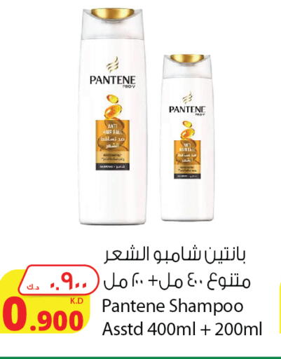 PANTENE Shampoo / Conditioner available at Agricultural Food Products Co. in Kuwait - Jahra Governorate