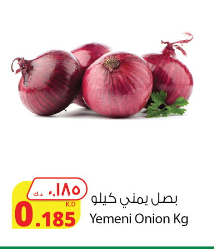 بصل from Yemen available at شركة المنتجات الزراعية الغذائية in الكويت - محافظة الأحمدي