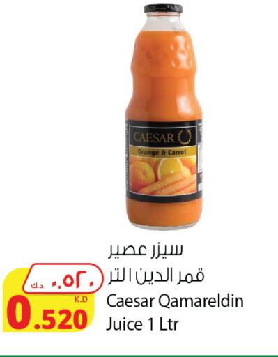 Orange Carrot available at شركة المنتجات الزراعية الغذائية in الكويت - مدينة الكويت