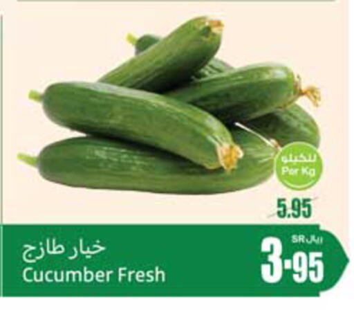 Cucumber available at Othaim Markets in KSA, Saudi Arabia, Saudi - Al Hasa