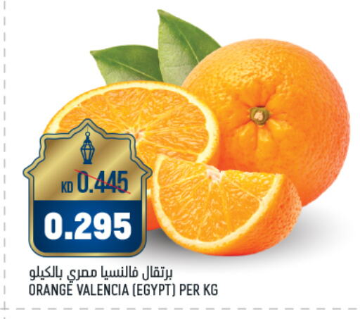 Orange from Egypt available at Oncost in Kuwait - Ahmadi Governorate