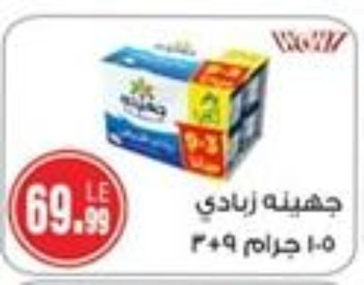 زبادي available at A2Z هايبر in Egypt - القاهرة