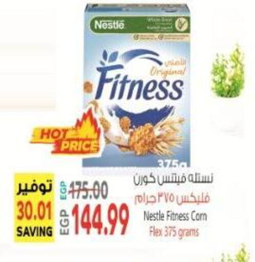 NESTLE Cereals available at El.Husseini supermarket  in Egypt - Cairo