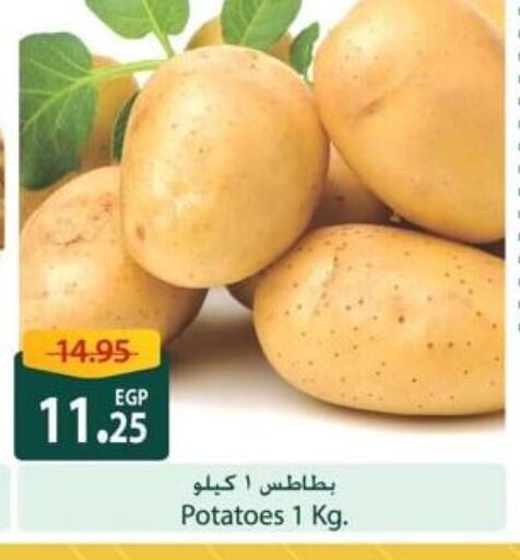 Potato available at Spinneys  in Egypt - Cairo