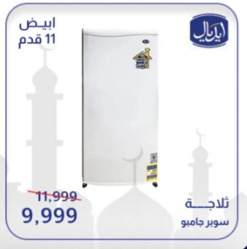 Refrigerator available at Abdul Aziz Store in Egypt - Cairo