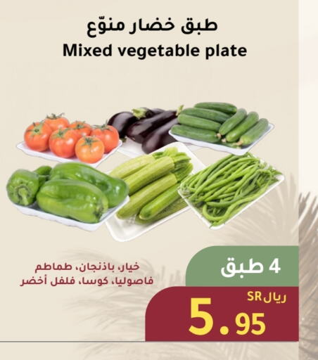 طماطم available at الهاجري الأغذية in مملكة العربية السعودية, السعودية, سعودية - خميس مشيط