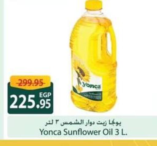 Sunflower Oil available at Spinneys  in Egypt - Cairo