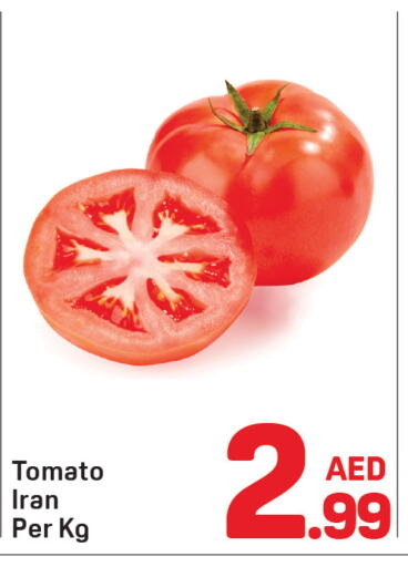 Tomato from Iran available at Day to Day Department Store in UAE - Dubai