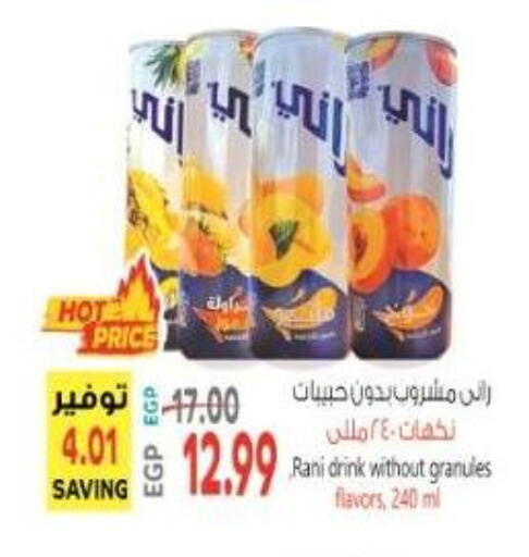 RANI available at El.Husseini supermarket  in Egypt - Cairo