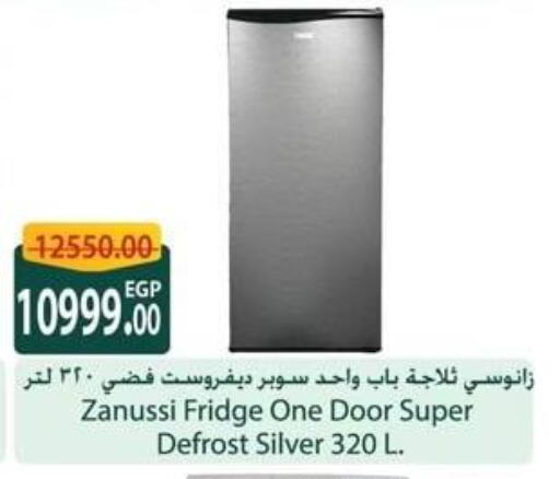 ZANUSSI Refrigerator available at Spinneys  in Egypt - Cairo