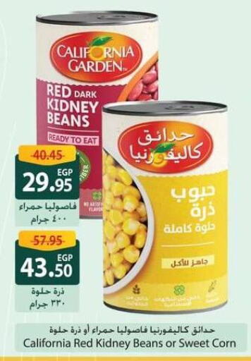 CALIFORNIA available at Spinneys  in Egypt - Cairo