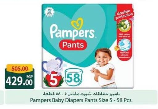 Pampers available at Spinneys  in Egypt - Cairo