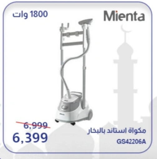 Garment Steamer available at Abdul Aziz Store in Egypt - Cairo