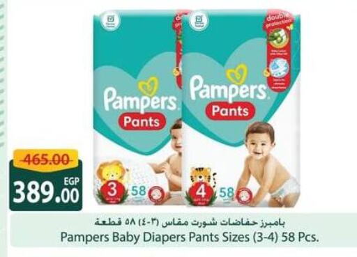 Pampers available at Spinneys  in Egypt - Cairo