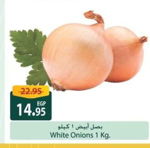 White Onion available at Spinneys  in Egypt - Cairo