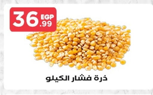 available at مارت فيل in Egypt - القاهرة