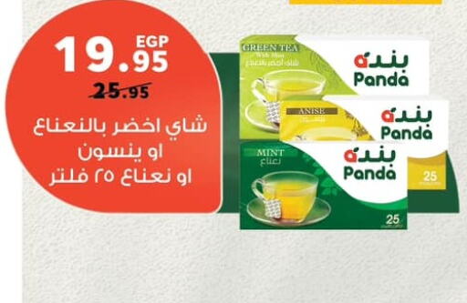 شاي أخضر available at بنده in Egypt - القاهرة