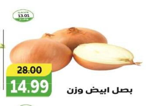 Onion available at The Mart  in Egypt - Cairo