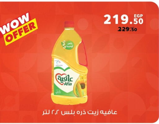 إندومي زيت الذرة available at بنده in Egypt - القاهرة