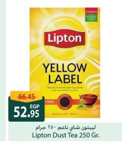 Lipton Tea Powder available at Spinneys  in Egypt - Cairo