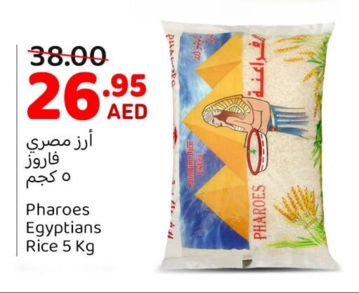 Calrose Rice available at Mango Hypermarket LLC in UAE - Sharjah / Ajman