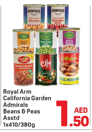 كاليفورنيا فول available at دي تو دي in الإمارات العربية المتحدة , الامارات - دبي