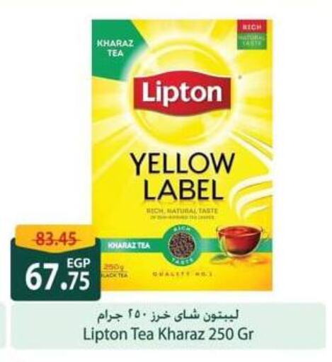 Lipton Tea Powder available at Spinneys  in Egypt - Cairo