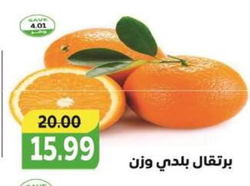 Orange available at The Mart  in Egypt - Cairo