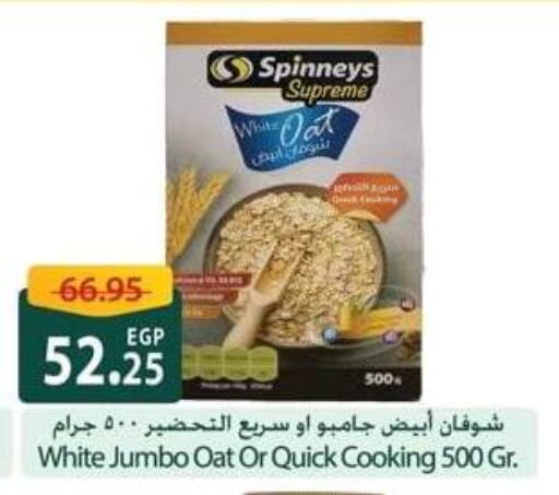 Oats available at Spinneys  in Egypt - Cairo