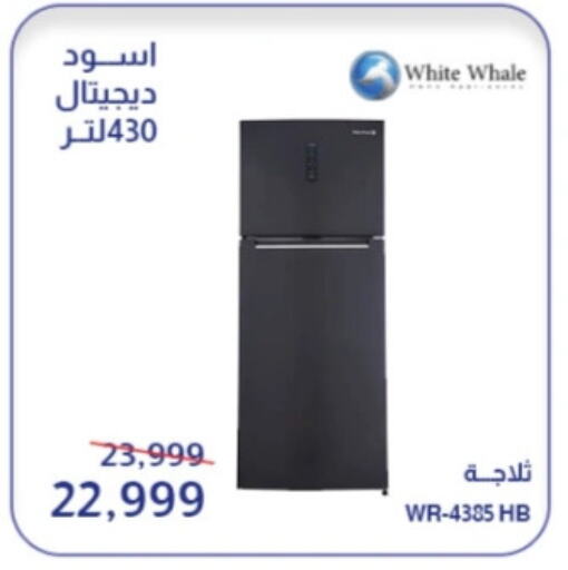 Refrigerator available at Abdul Aziz Store in Egypt - Cairo