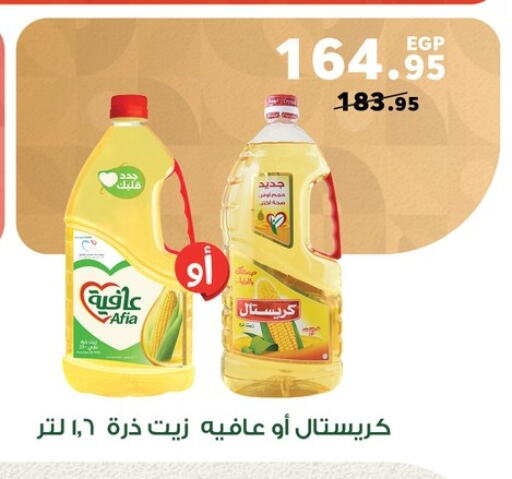 AFIA Corn Oil available at Panda  in Egypt - Cairo