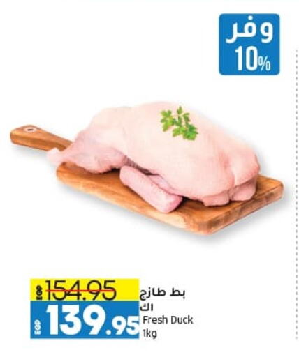 available at Lulu Hypermarket  in Egypt - Cairo