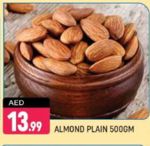 available at شكلان ماركت in الإمارات العربية المتحدة , الامارات - دبي