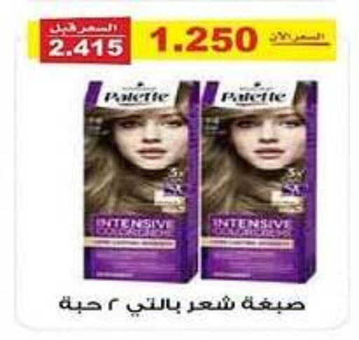 PALETTE Hair Colour available at Al Fintass Cooperative Society  in Kuwait - Kuwait City