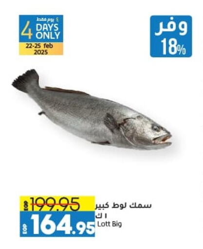 available at Lulu Hypermarket  in Egypt - Cairo