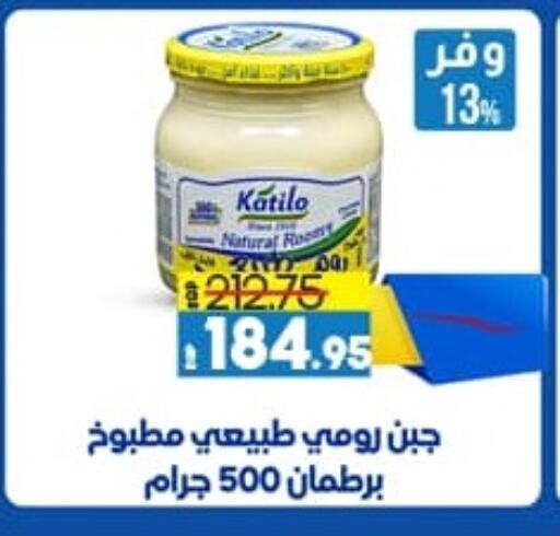 KATILO available at Lulu Hypermarket  in Egypt - Cairo