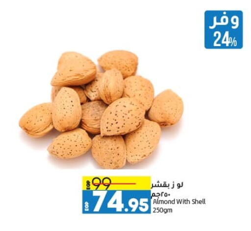 available at لولو هايبرماركت in Egypt - القاهرة