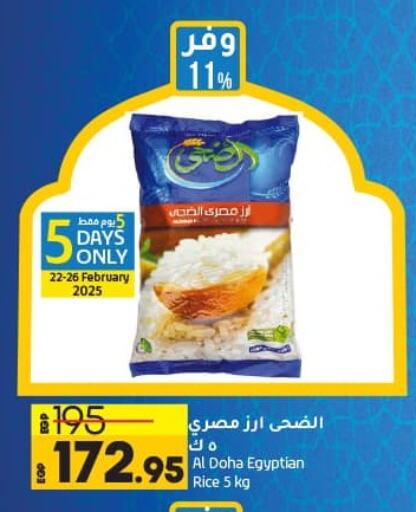 Calrose Rice available at Lulu Hypermarket  in Egypt - Cairo