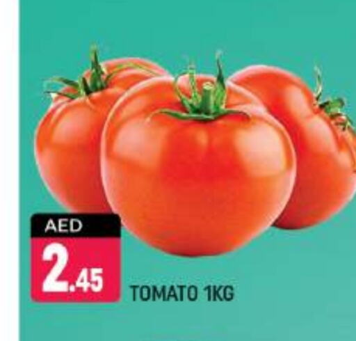 Tomato available at Shaklan  in UAE - Dubai