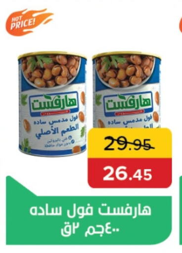 Fava Beans available at Pickmart in Egypt - Cairo