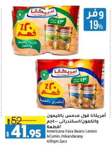 AMERICANA Fava Beans available at Lulu Hypermarket  in Egypt - Cairo