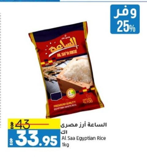 Calrose Rice available at Lulu Hypermarket  in Egypt - Cairo