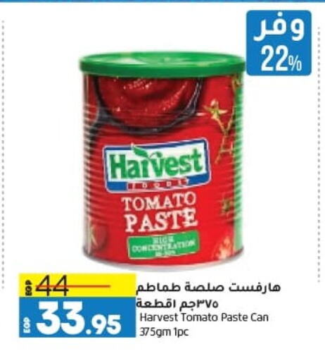 Tomato Paste available at Lulu Hypermarket  in Egypt - Cairo