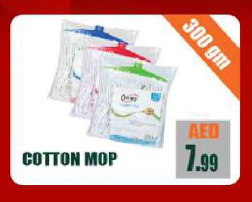 Cleaning Aid available at BIGmart in UAE - Abu Dhabi