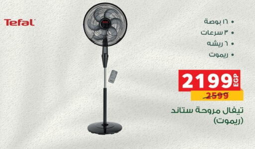 TEFAL Fan available at Panda  in Egypt - Cairo