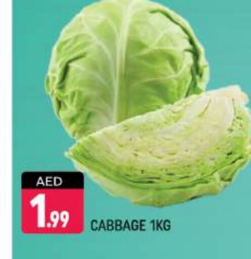 Cabbage available at Shaklan  in UAE - Dubai